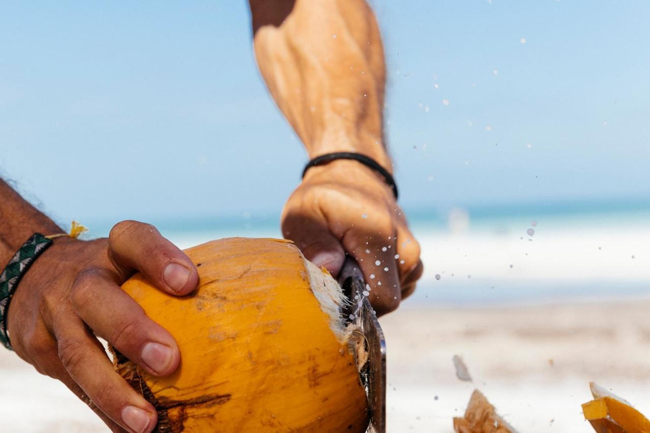 Hotel Boutique Punta Caliza - Adults Oriented Isla Holbox Εξωτερικό φωτογραφία
